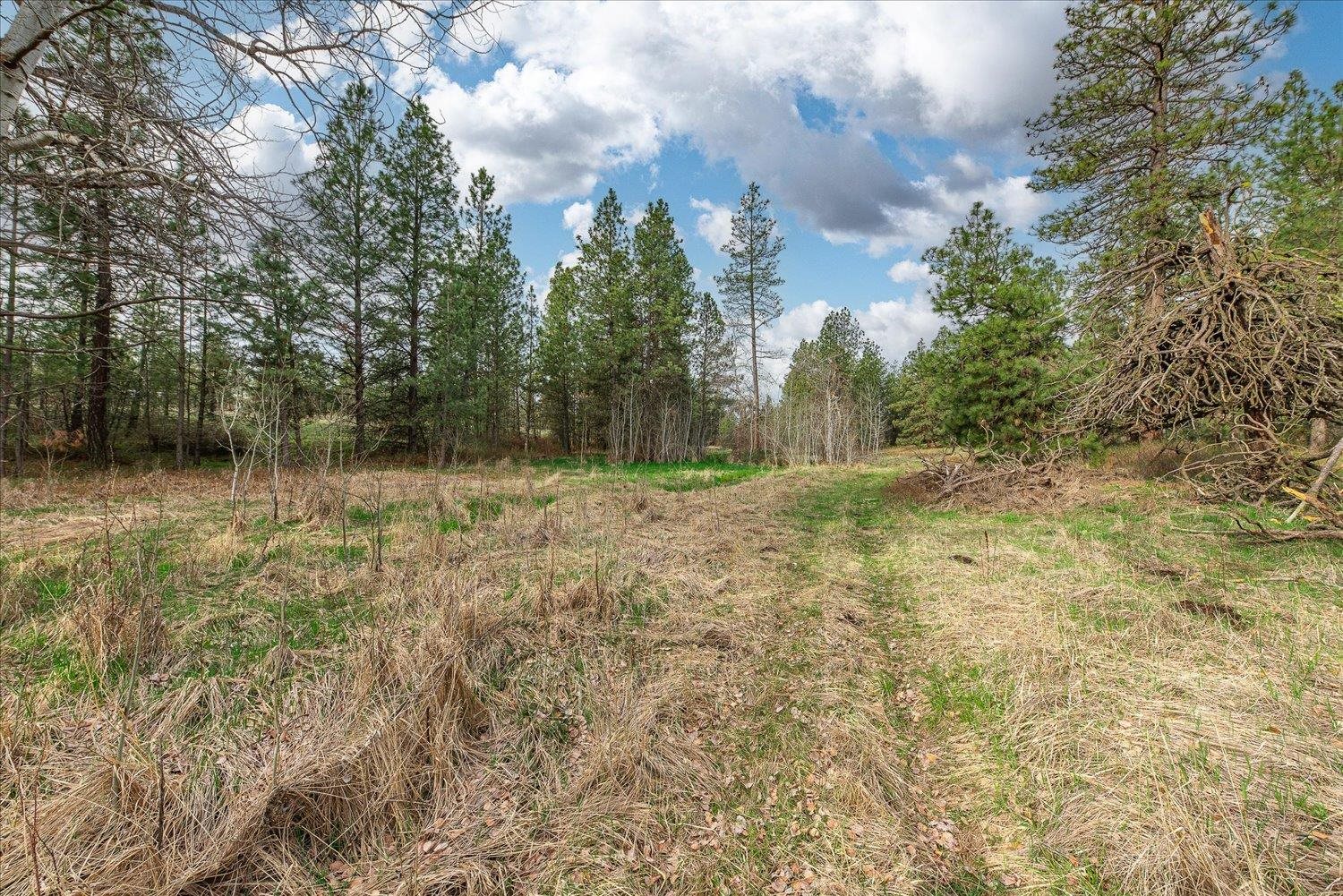15806 South Stentz Road Spangle, WA 99031 - Photo 15 of 33