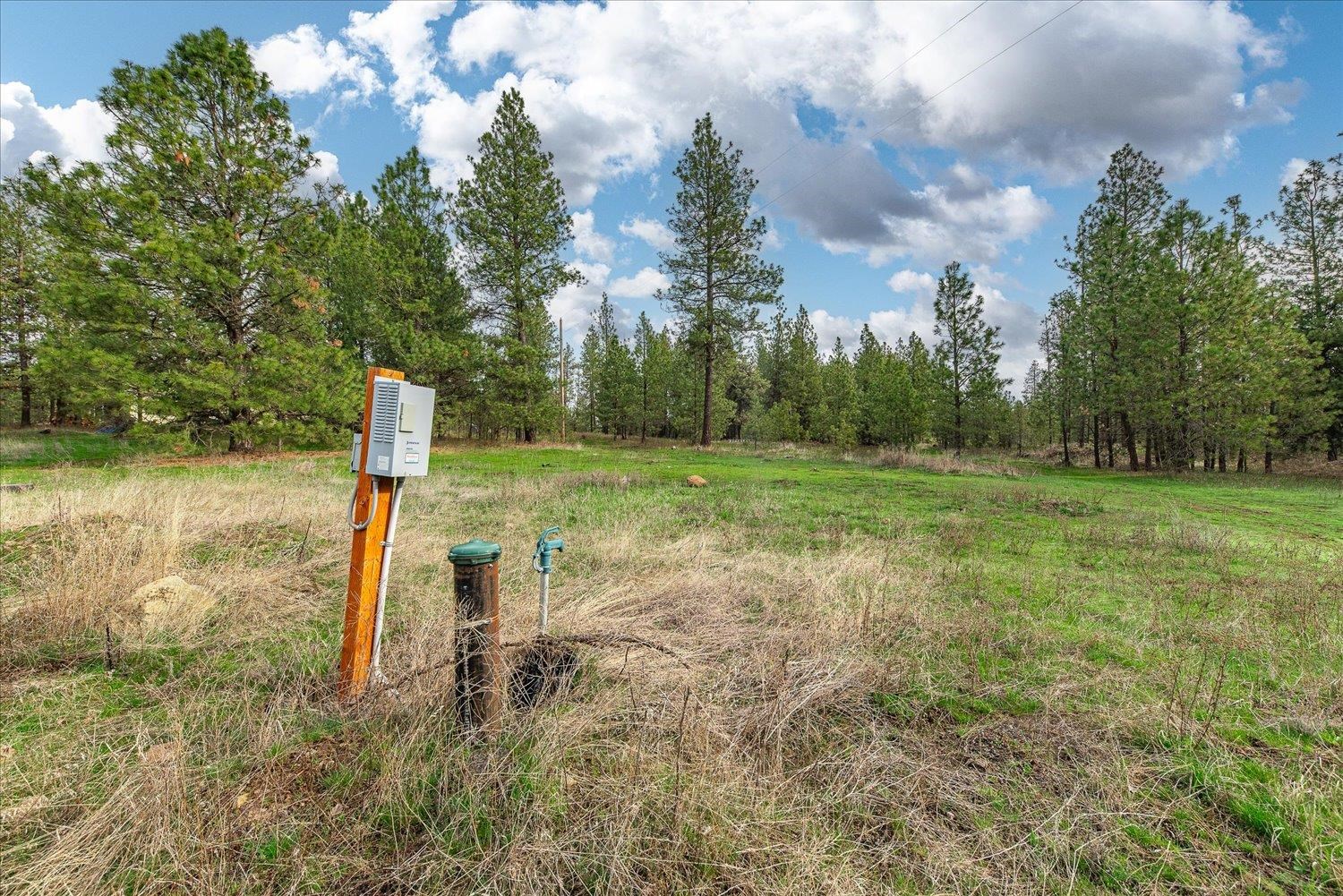 15806 South Stentz Road Spangle, WA 99031 - Photo 16 of 33