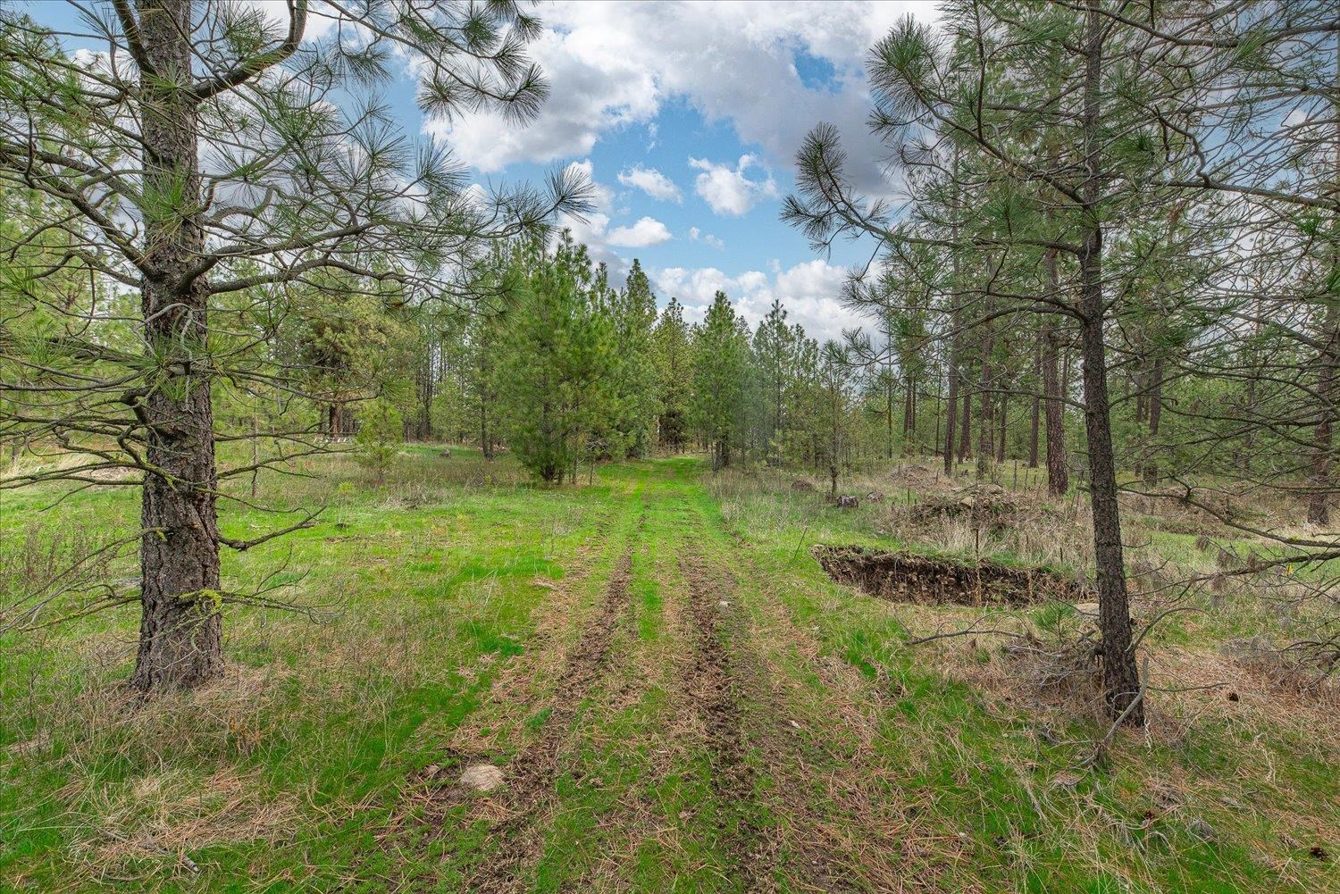 15806 South Stentz Road Spangle, WA 99031 - Photo 17 of 33