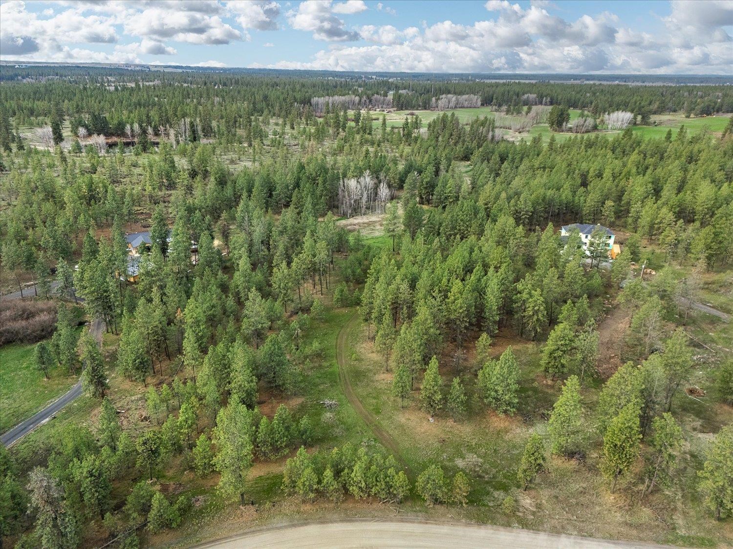 15806 South Stentz Road Spangle, WA 99031 - Photo 18 of 33