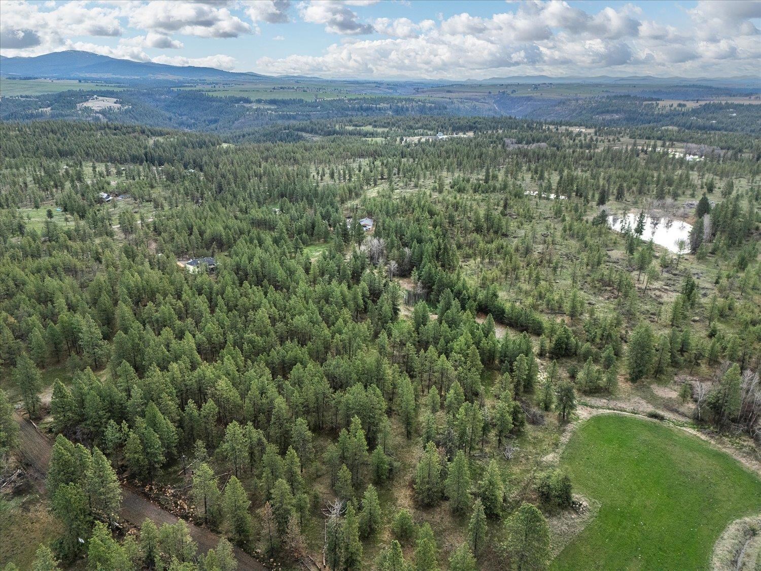 15806 South Stentz Road Spangle, WA 99031 - Photo 22 of 33