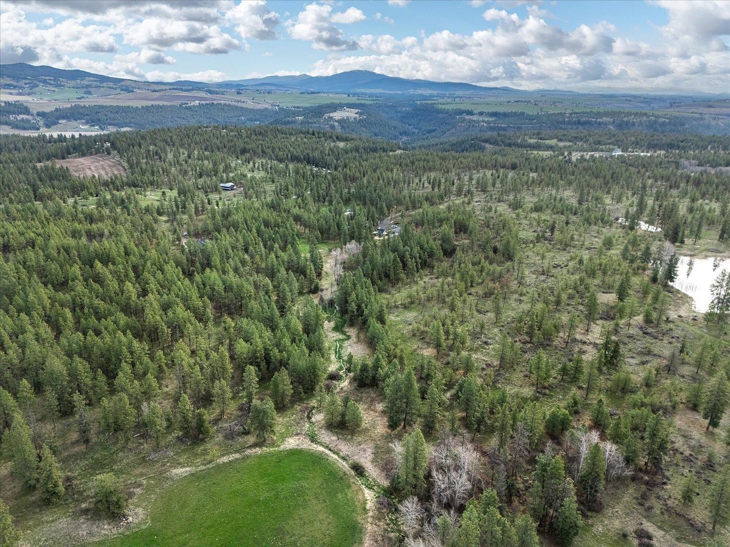15806 South Stentz Road Spangle, WA 99031 - Photo 23 of 33