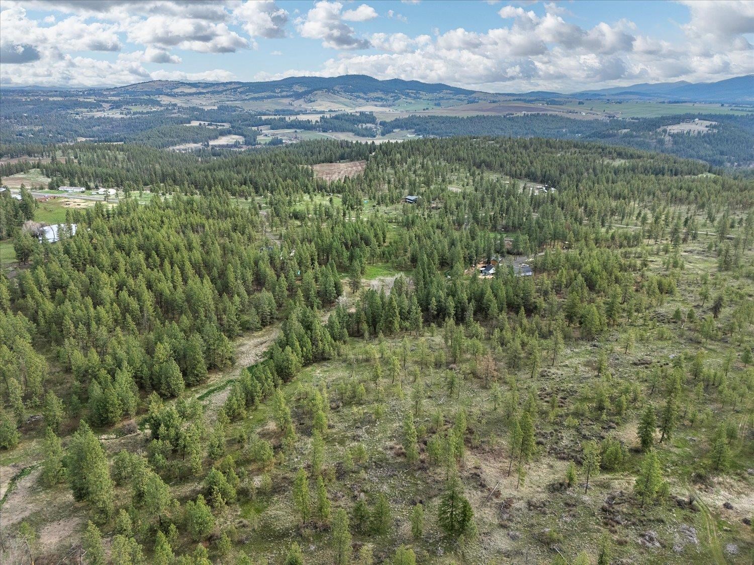 15806 South Stentz Road Spangle, WA 99031 - Photo 24 of 33