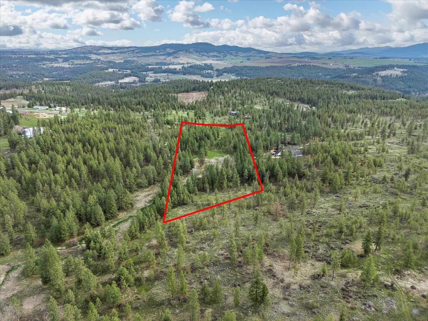 15806 South Stentz Road Spangle, WA 99031 - Photo 25 of 33