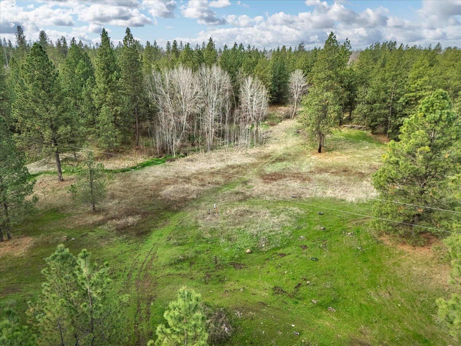 15806 South Stentz Road Spangle, WA 99031 - Photo 31 of 33