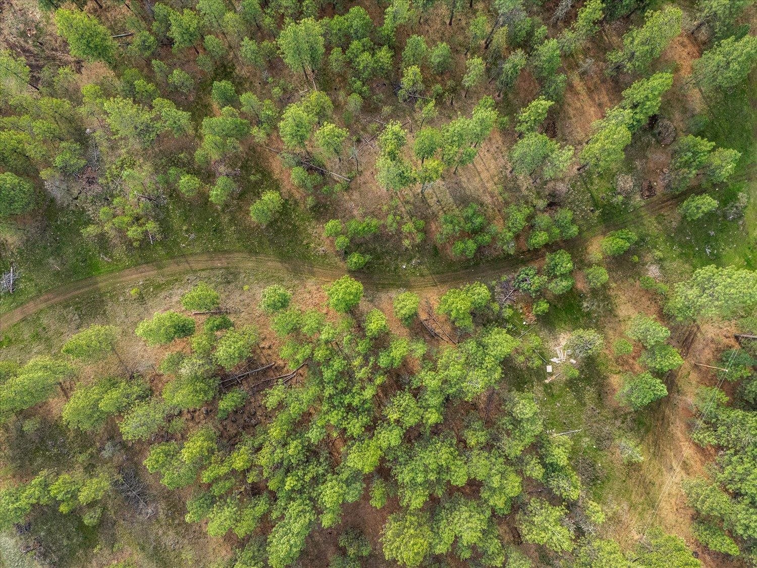 15806 South Stentz Road Spangle, WA 99031 - Photo 32 of 33
