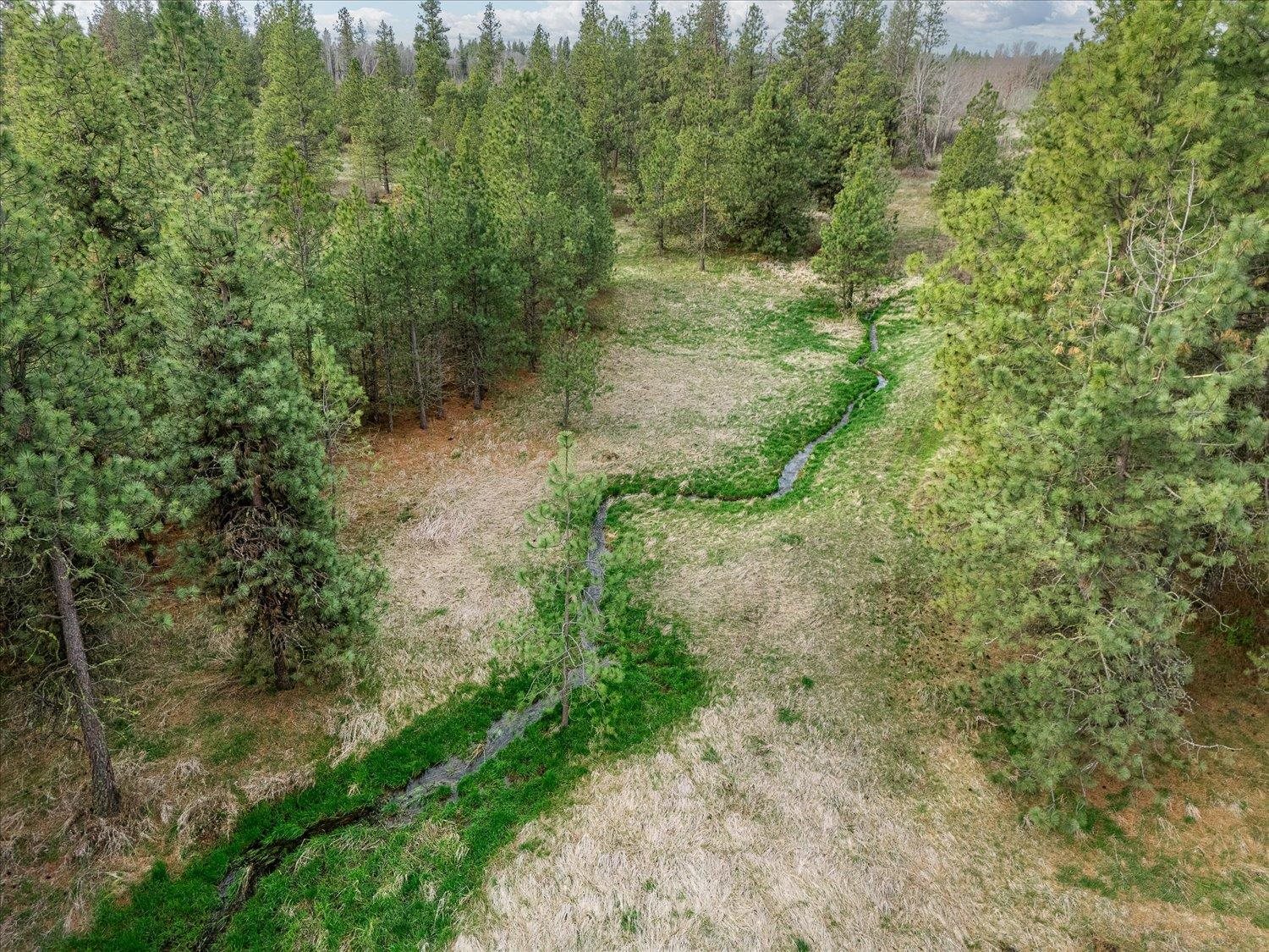 15806 South Stentz Road Spangle, WA 99031 - Photo 4 of 33