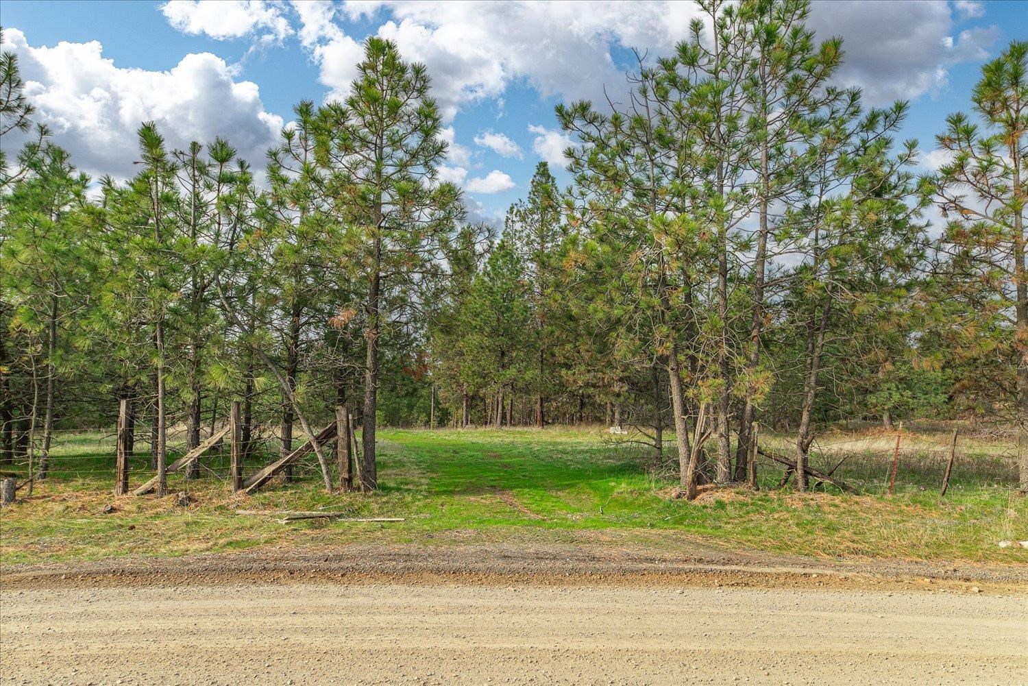 15806 South Stentz Road Spangle, WA 99031 - Photo 7 of 33