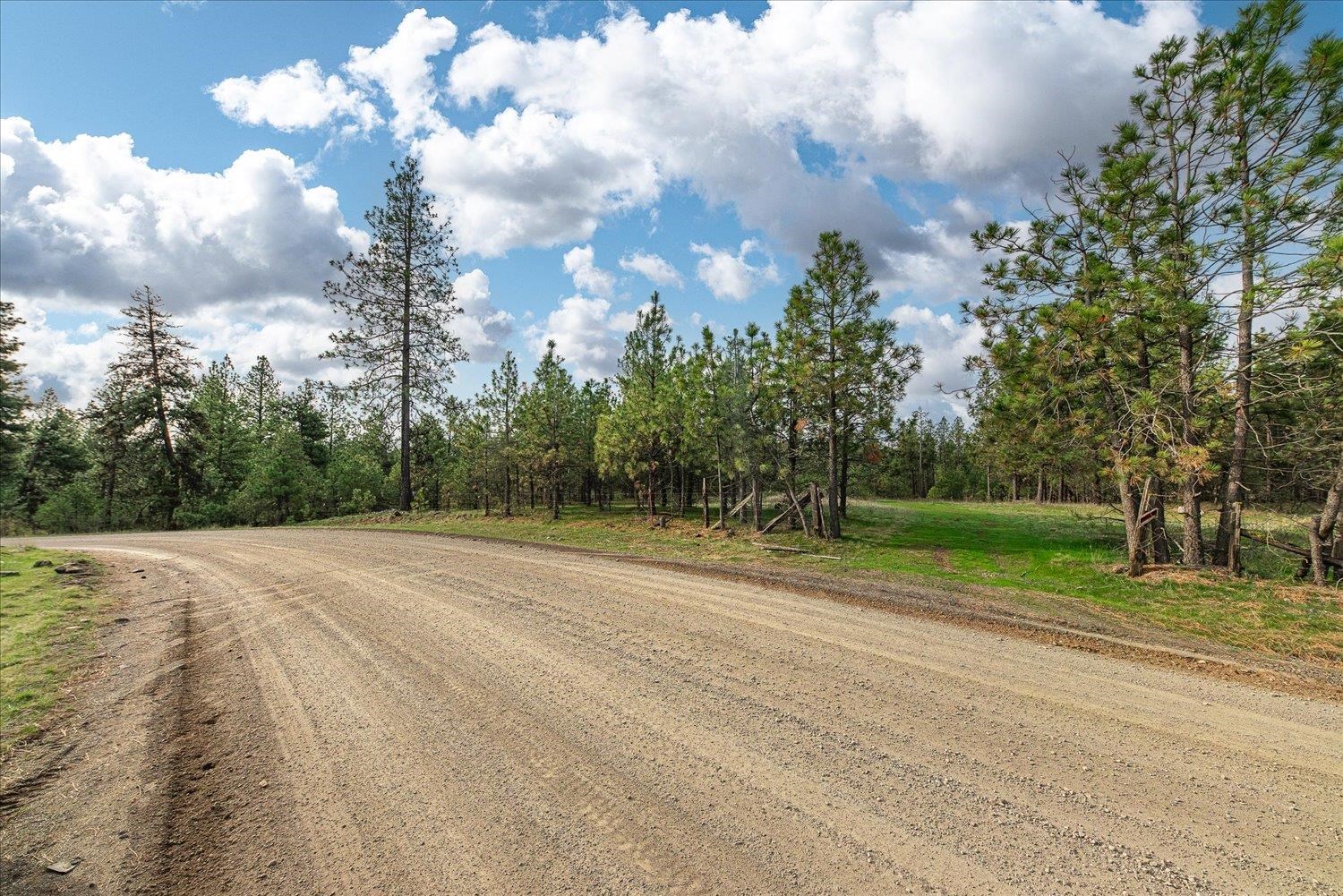 15806 South Stentz Road Spangle, WA 99031 - Photo 8 of 33