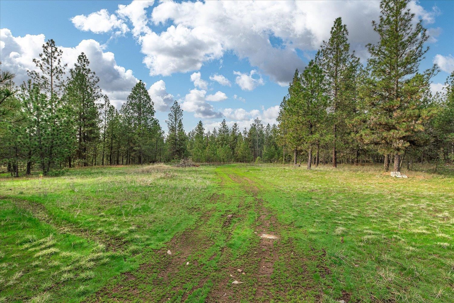 15806 South Stentz Road Spangle, WA 99031 - Photo 10 of 33