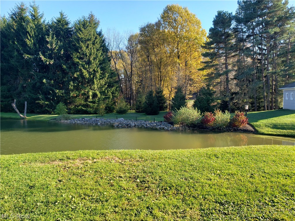 11297 Bean Road Chardon, OH 44024 - Photo 27 of 35 The pines & pond