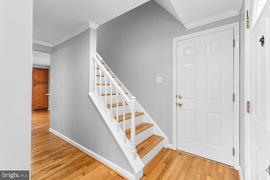 10401 Bald Hill Road Bowie, MD 20721 - Photo 11 of 44 Inviting entryway with elegant staircase.