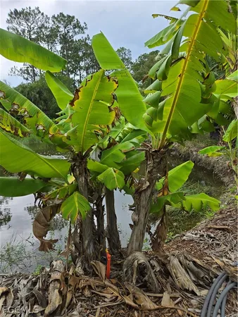 $225,000 | 501 Wildwood Avenue, Clewiston, FL 33440