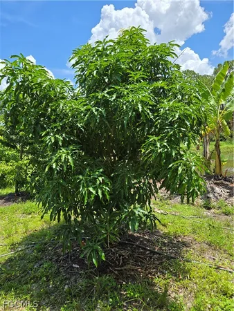 $225,000 | 501 Wildwood Avenue, Clewiston, FL 33440