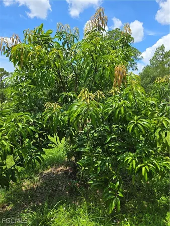 $225,000 | 501 Wildwood Avenue, Clewiston, FL 33440