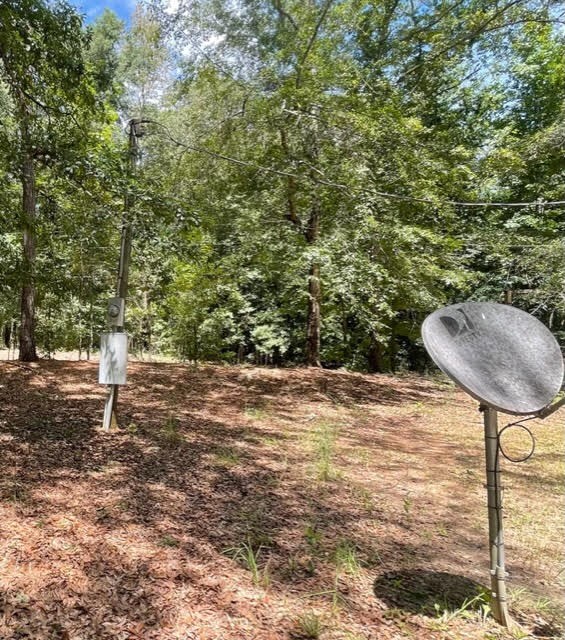 24 Briar Creek Road Pittsview, AL 36871 - Photo 10 of 43 Power Pole