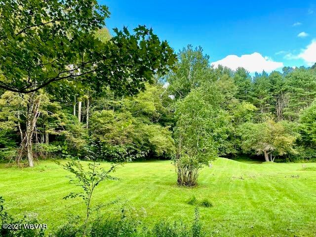 520 Splash Dam Road Forksville, PA 18616 - Photo 8 of 13 Gallery Image 8
