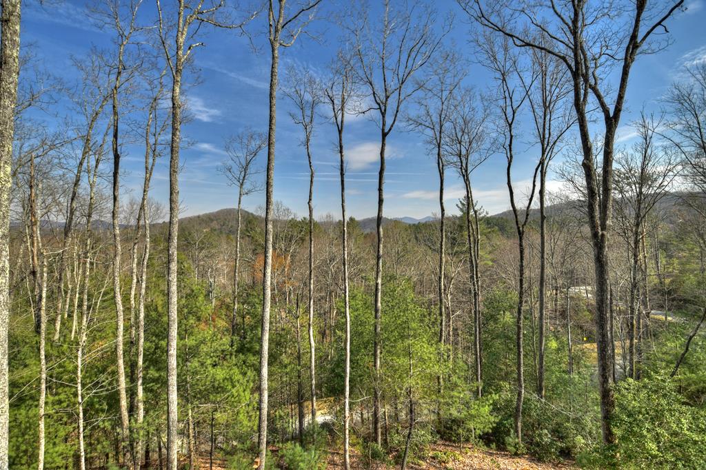 91 Heritage Way Cherry Log, GA 30522 - Photo 15 of 35 a view of outdoor space and garden