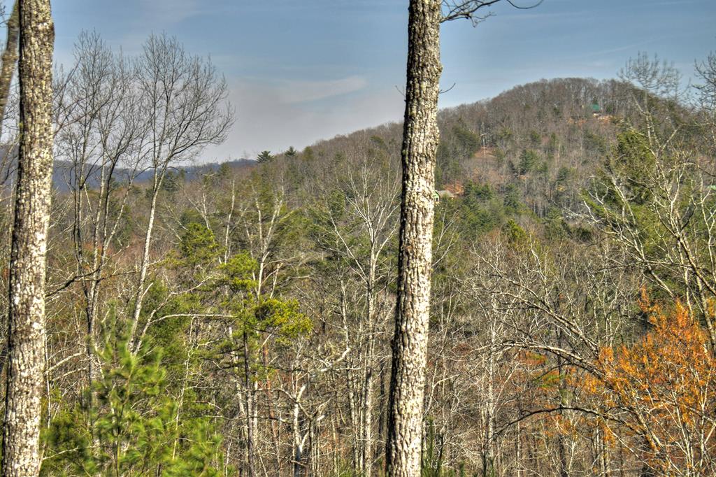 91 Heritage Way Cherry Log, GA 30522 - Photo 16 of 35