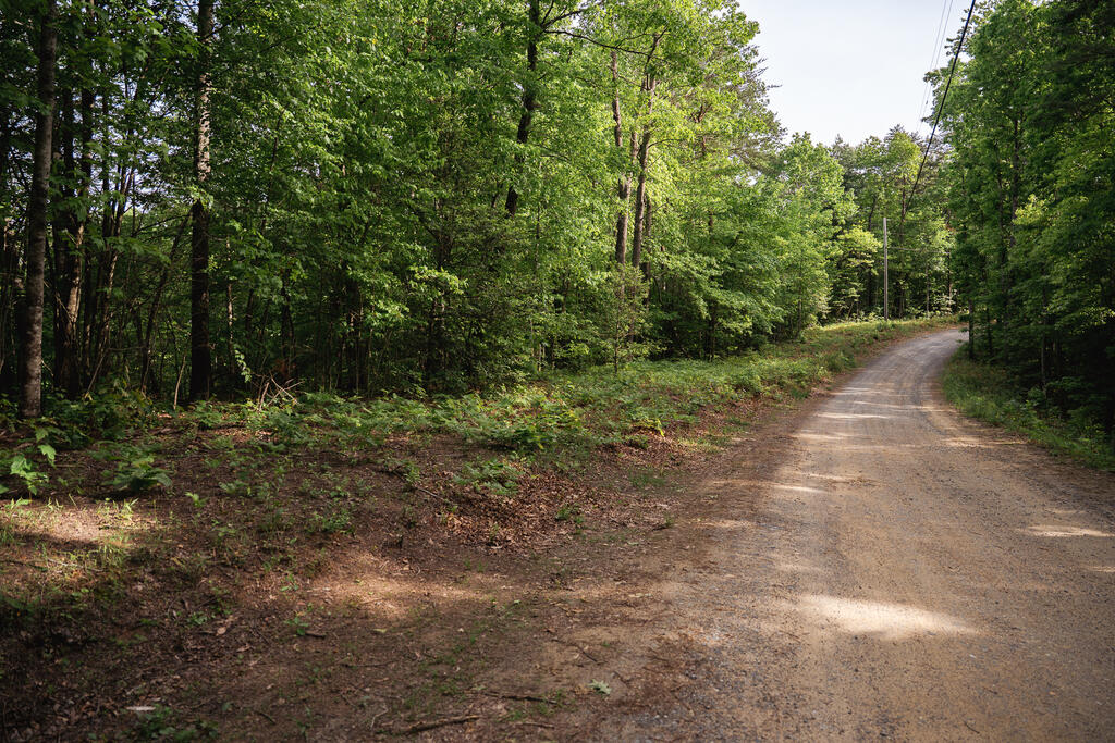 2 Century Lane Blue Ridge, GA 30513 - Photo 4 of 50 Gallery Image 4