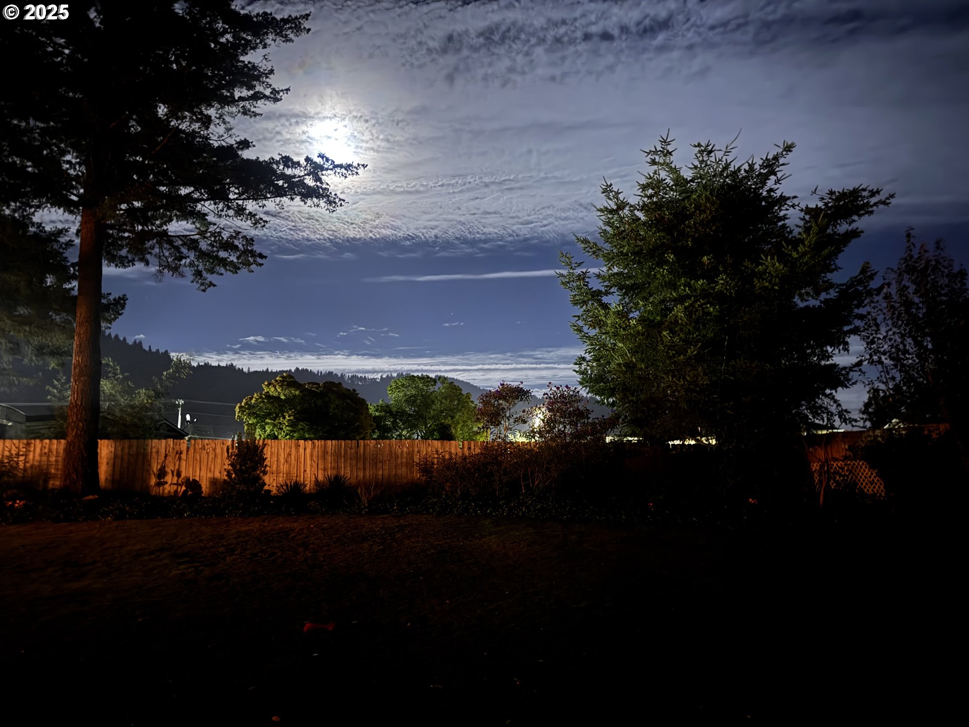 97818 Hanscam Lane Brookings, OR 97415 - Photo 34 of 44 a view of a yard in front of the house