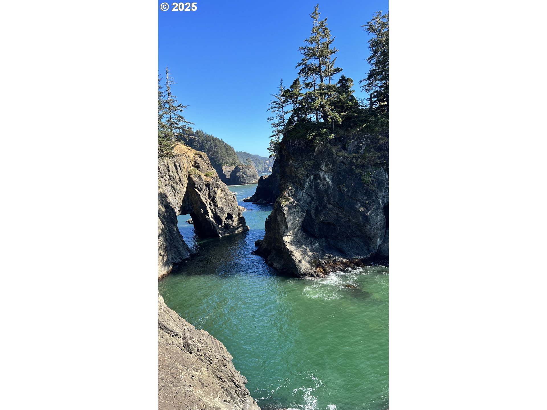 97818 Hanscam Lane Brookings, OR 97415 - Photo 40 of 44 a view of a yard