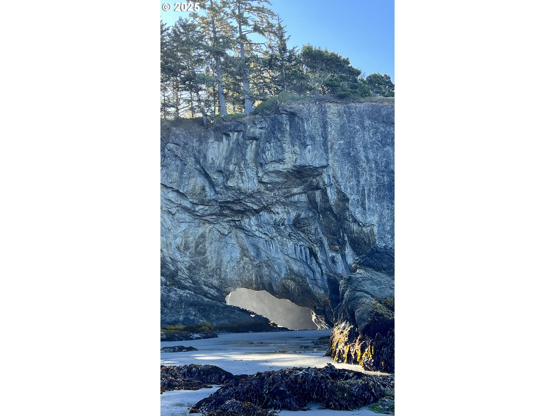 97818 Hanscam Lane Brookings, OR 97415 - Photo 41 of 44 a bathroom with a sink and a vanity