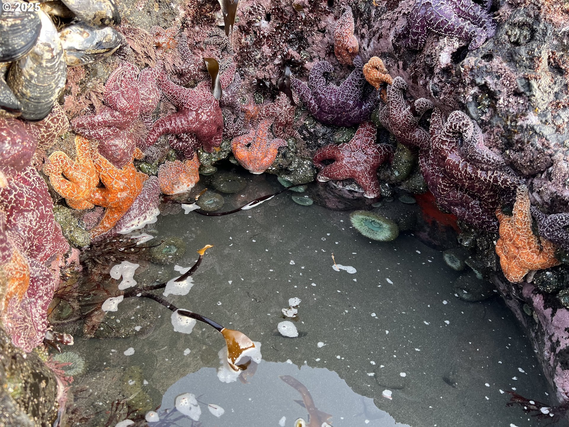 97818 Hanscam Lane Brookings, OR 97415 - Photo 42 of 44 a view of city from a building