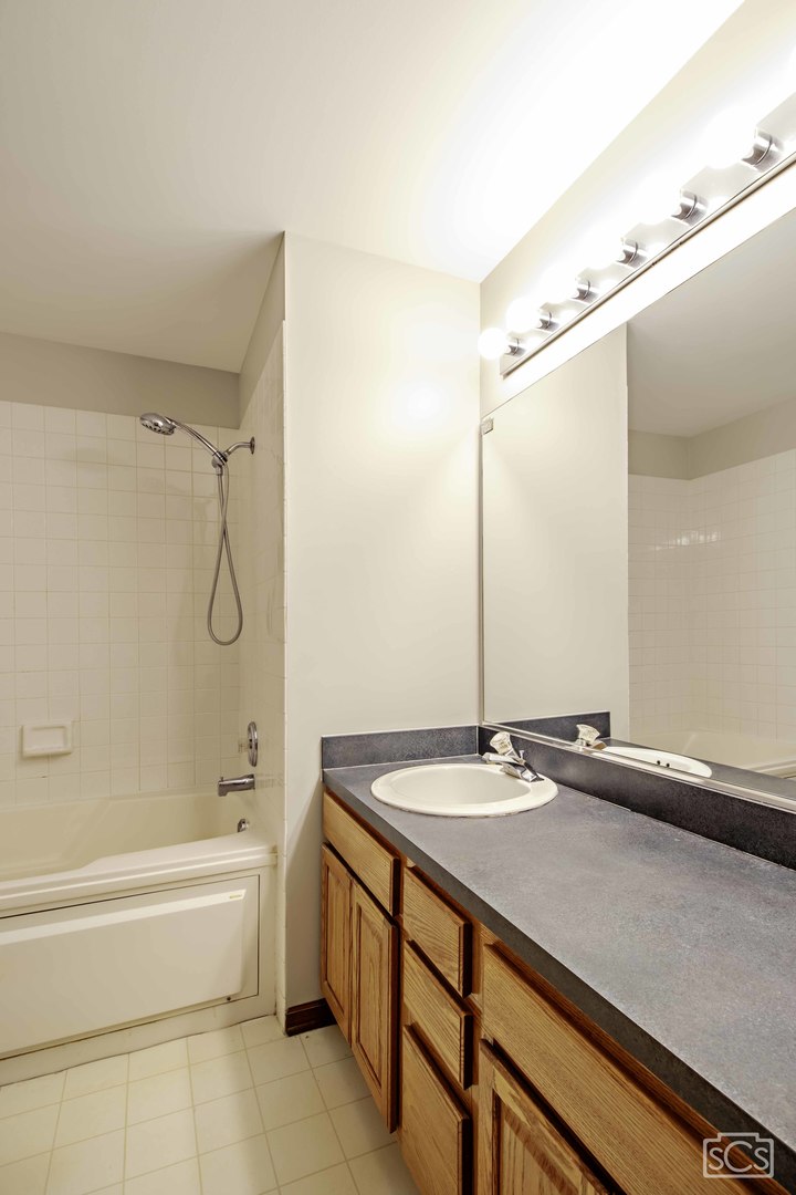 14 Peach Tree Court Algonquin, IL 60102 - Photo 16 of 20 a bathroom with a sink and a bathtub