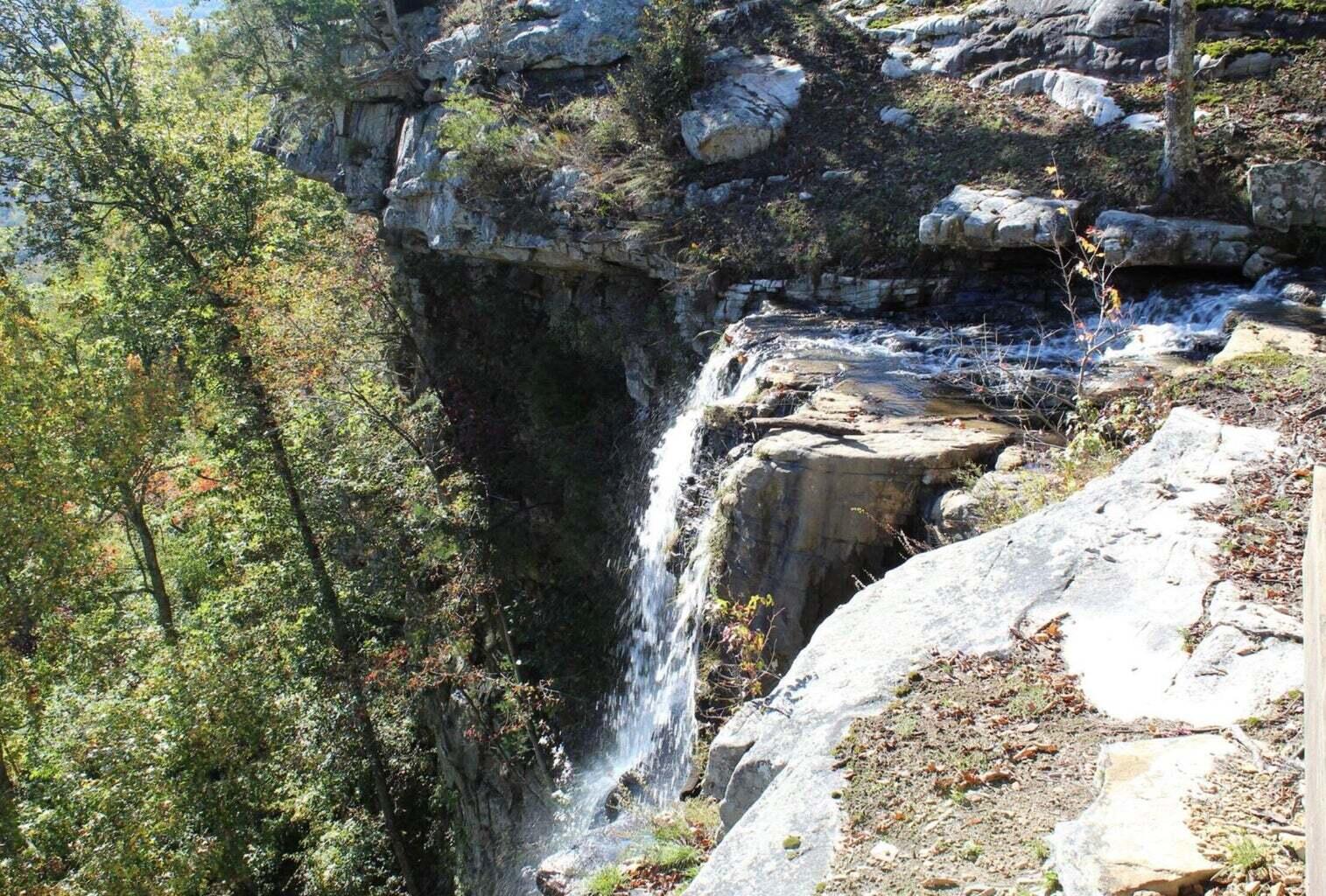 1565 Raulston Falls Drive Jasper, TN 37347 - Photo 45 of 65 20220518194738566139000000-o