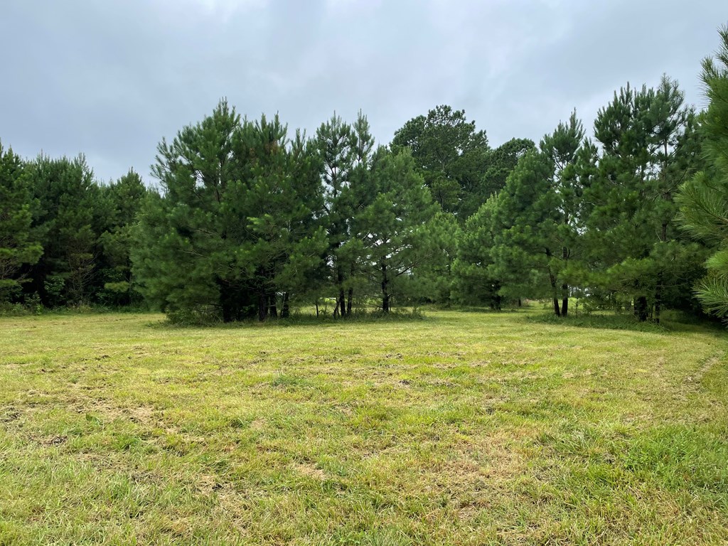 Lot 3 Green Landing Road, Unit 3 Onancock, VA 23417 - Photo 39 of 43