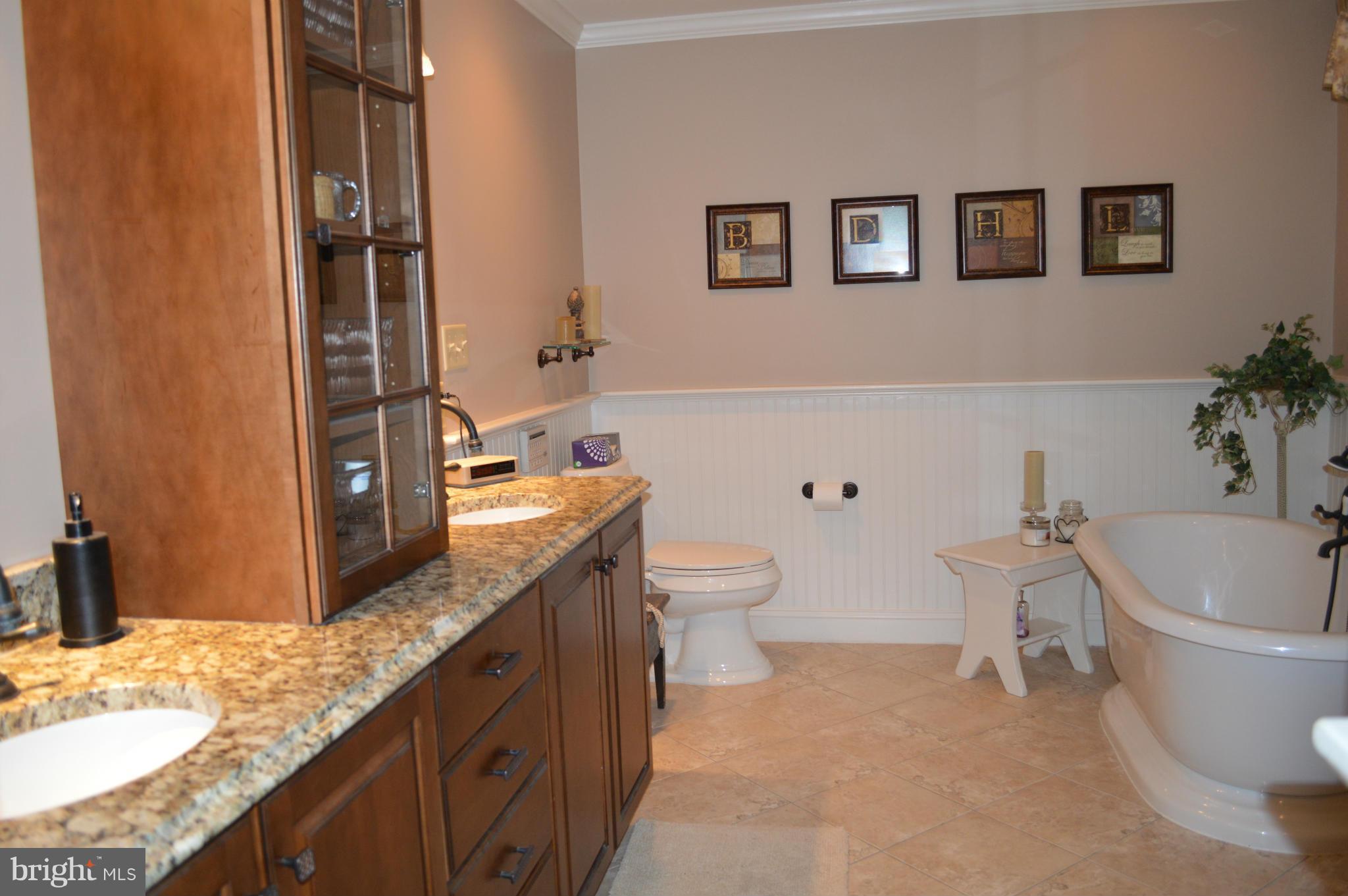 22524 Shiloh Church Road Boyds, MD 20841 - Photo 12 of 20 a bathroom with a granite countertop sink and a toilet