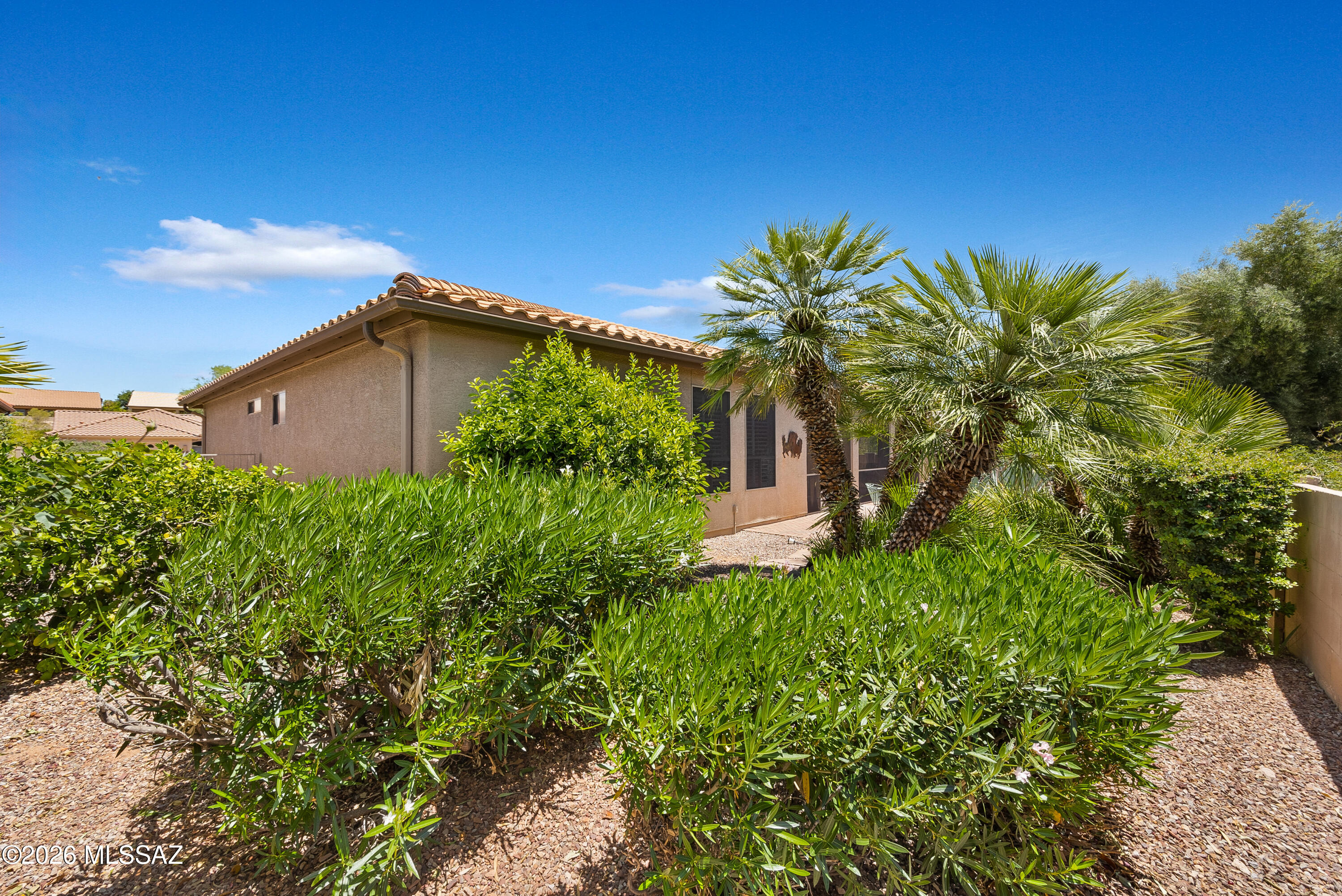 62441 East Northwood Road Tucson, AZ 85739 - Photo 32 of 37 Lush Landscaping in Back