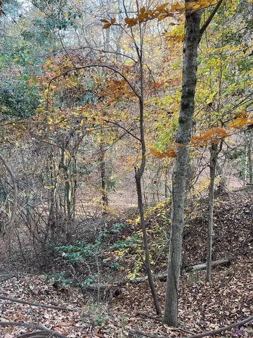 $998,050 | Tbd (179.57-ac) Tbd (179.57-ac) Tunica Trace Street, St. Francisville, LA 70775