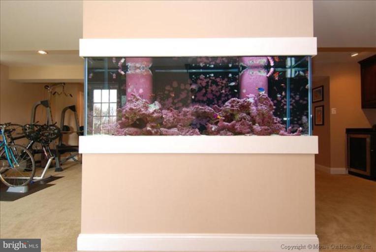 18614 Broken Oak Road Boyds, MD 20841 - Photo 16 of 30 Recreation Room - Tropical Aquarium