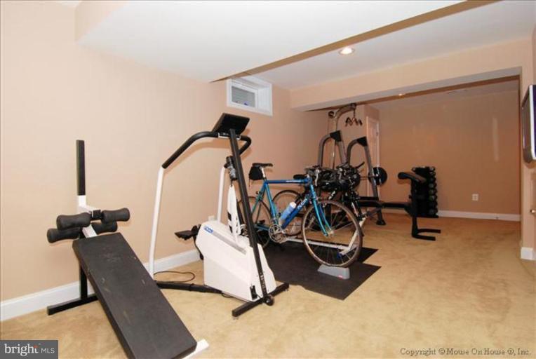 18614 Broken Oak Road Boyds, MD 20841 - Photo 18 of 30 Recreation Room 3