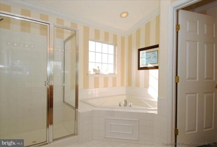 18614 Broken Oak Road Boyds, MD 20841 - Photo 26 of 30 Master Bath