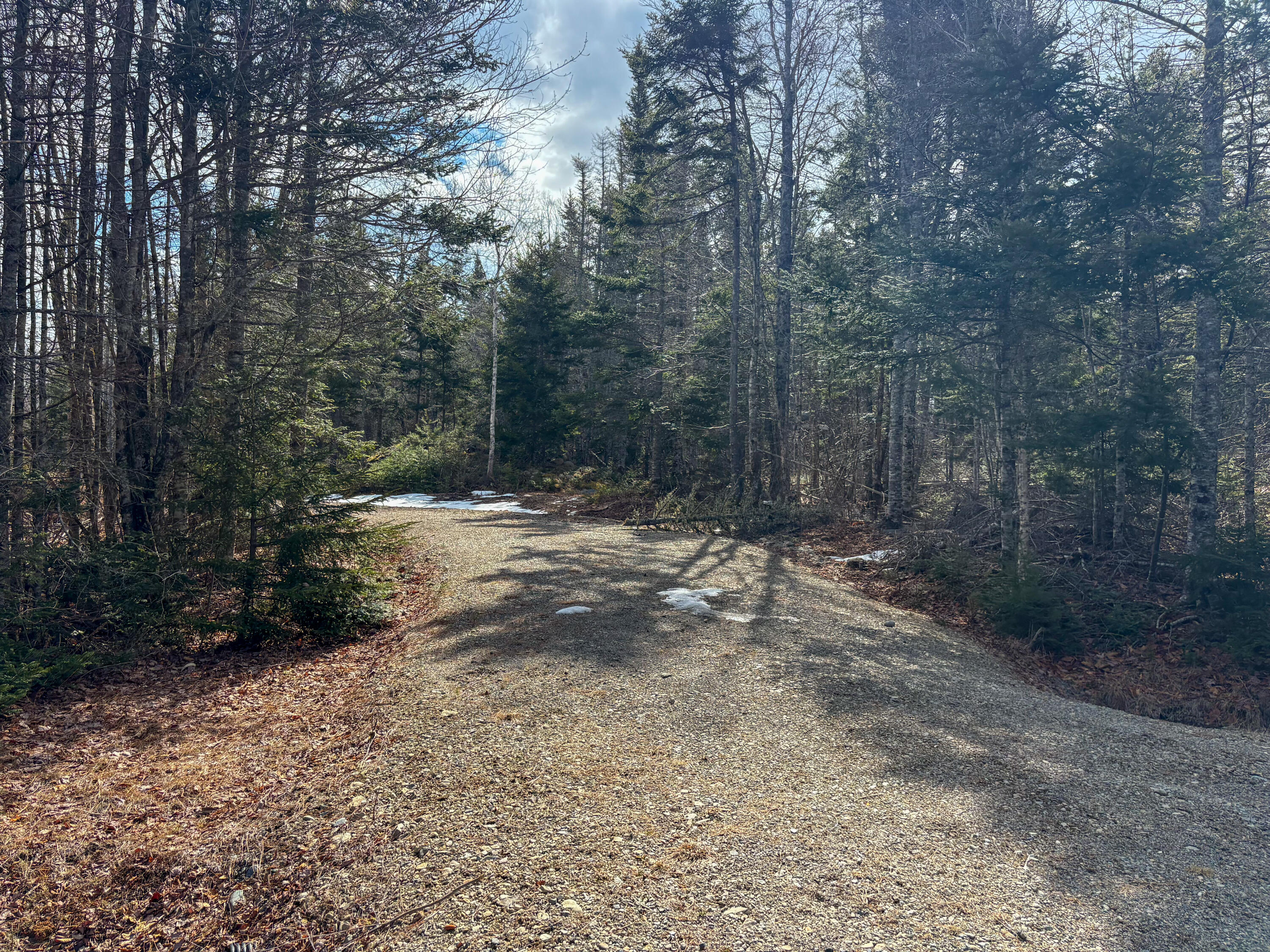 Lot #14 Pidgeon Point Road Whiting, ME 04691 - Photo 15 of 23 Driveway