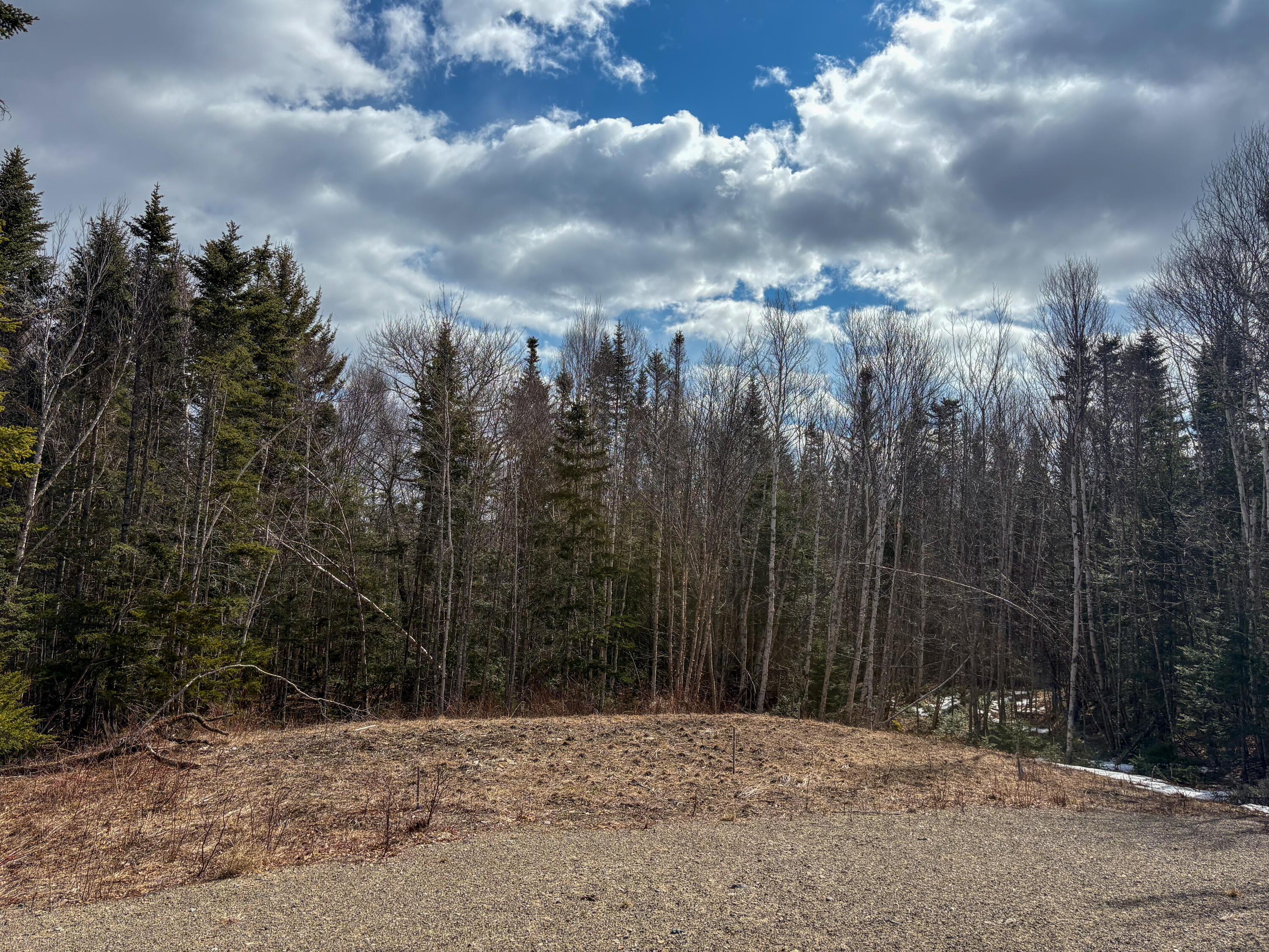 Lot #14 Pidgeon Point Road Whiting, ME 04691 - Photo 20 of 23 Leach field
