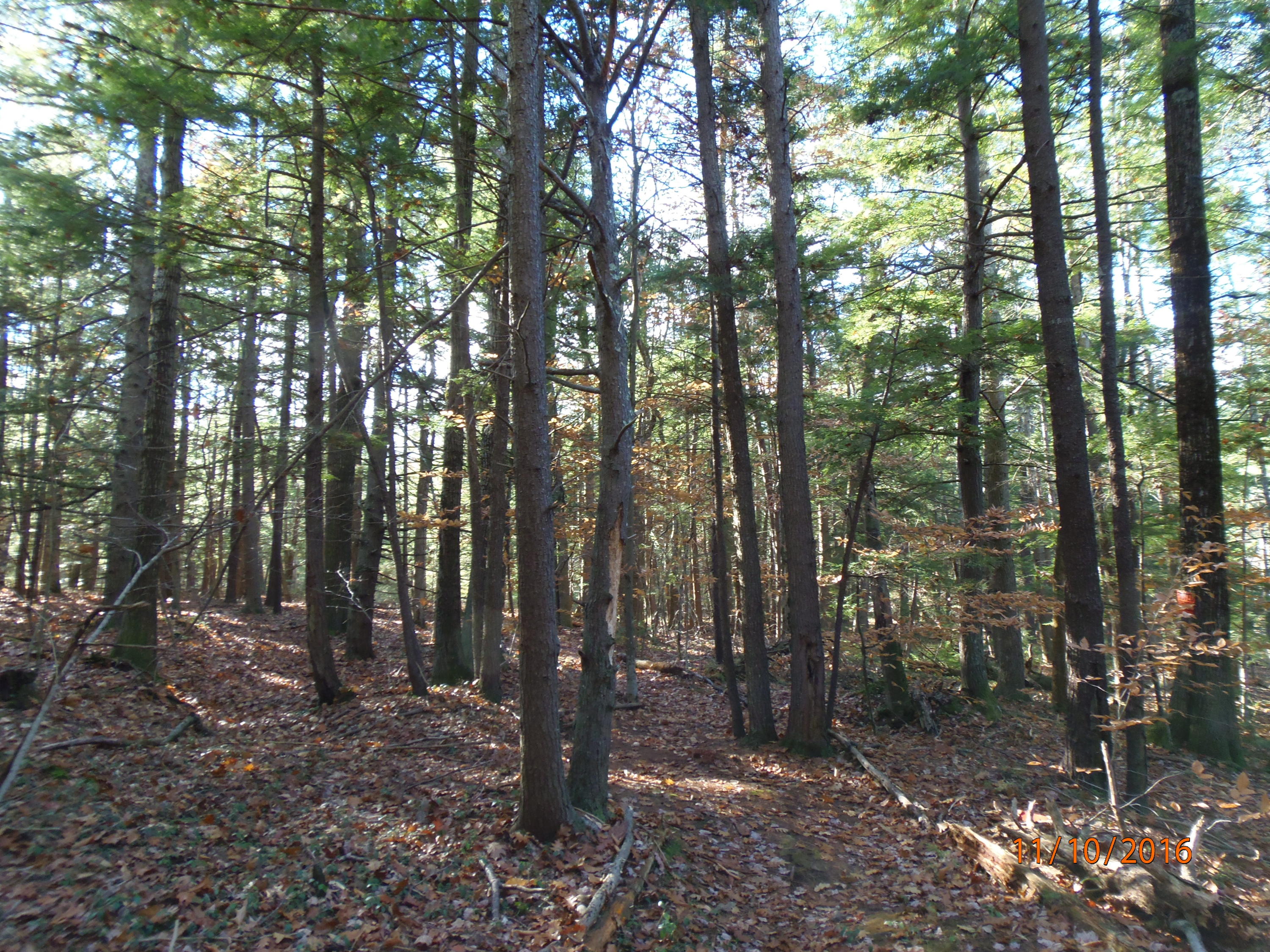 0 Cider Mill Pond Road North Berwick, ME 03906 - Photo 4 of 10 PB101594
