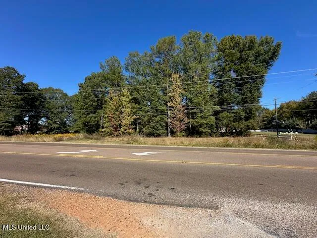 $250,000 | 0 Holly Bush Place, Brandon, MS 39047