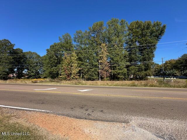 0 Holly Bush Place Brandon, MS 39047 - Photo 12 of 18 IMG_8868
