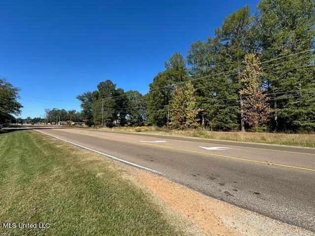 $250,000 | 0 Holly Bush Place, Brandon, MS 39047