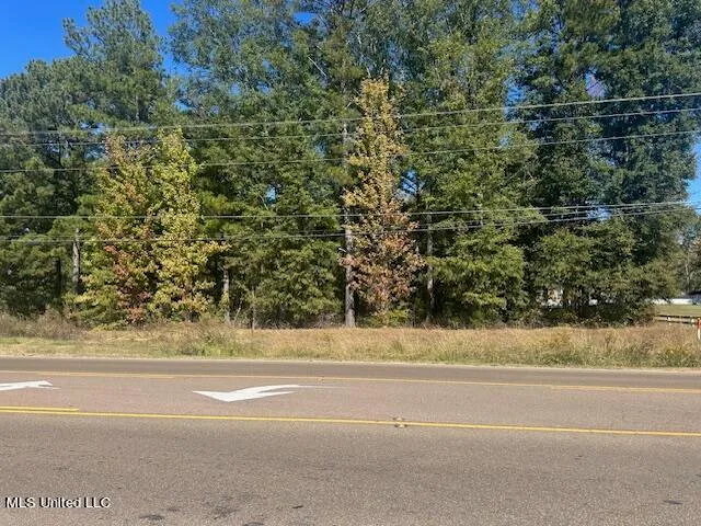 $250,000 | 0 Holly Bush Place, Brandon, MS 39047