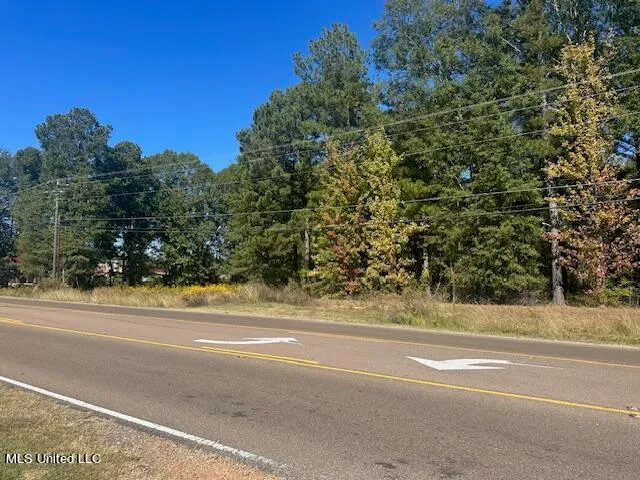 $250,000 | 0 Holly Bush Place, Brandon, MS 39047