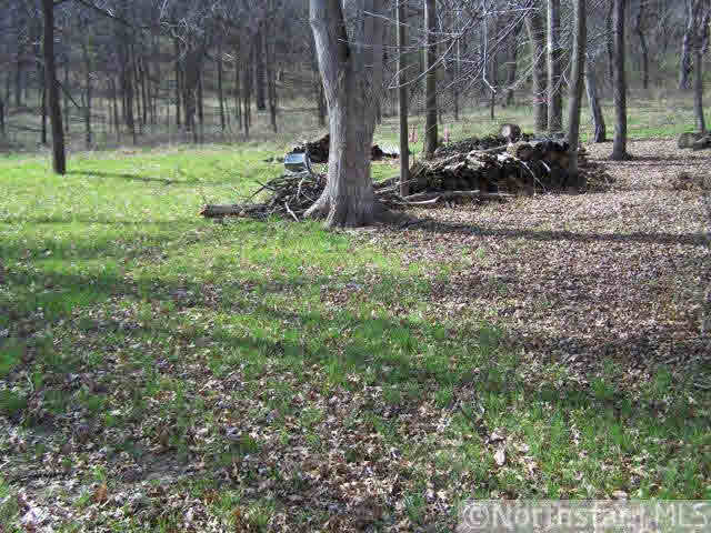 Xxx Old Cemetery Road Roberts, WI 54022 - Photo 4 of 9