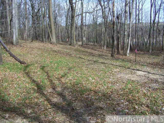Xxx Old Cemetery Road Roberts, WI 54022 - Photo 5 of 9