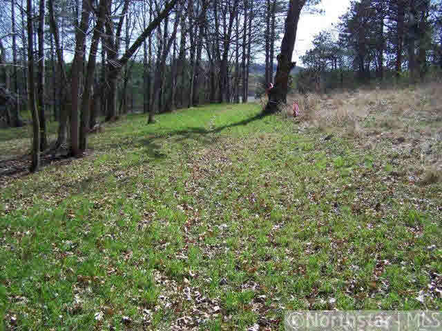 Xxx Old Cemetery Road Roberts, WI 54022 - Photo 6 of 9
