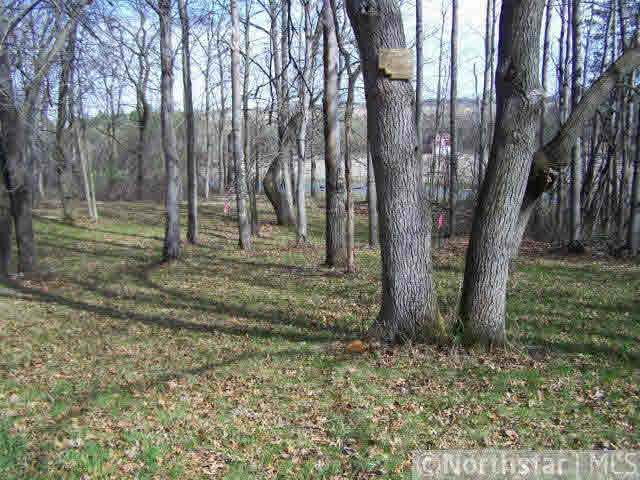 Xxx Old Cemetery Road Roberts, WI 54022 - Photo 7 of 9