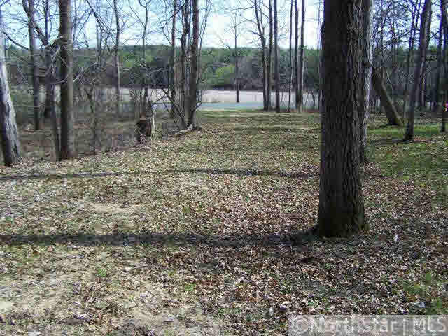 Xxx Old Cemetery Road Roberts, WI 54022 - Photo 8 of 9